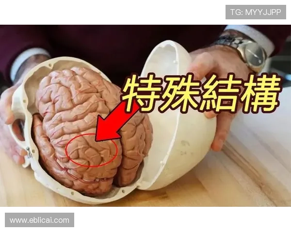 《韩剧Sign》：当法医遇上天才，一场关于真相的生死较量