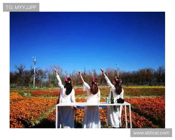 且听风吟：一场关于光影的浪漫邂逅，一段关于电影的诗意旅程